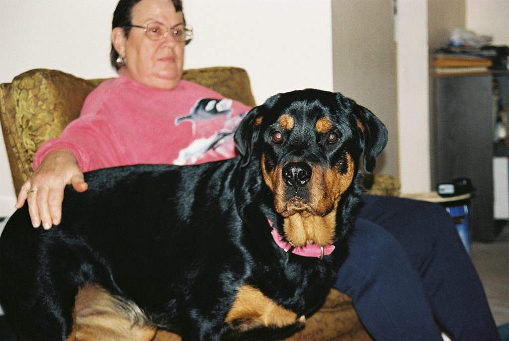 ROLL6019